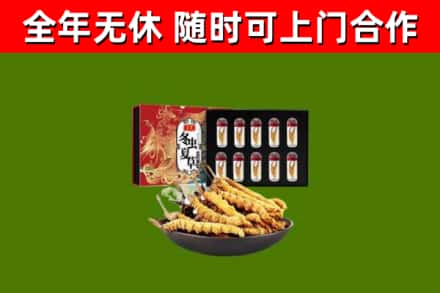 覃塘回收冬虫夏草价格